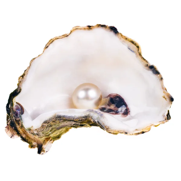 Big pearl in an oyster shell Stock Photo