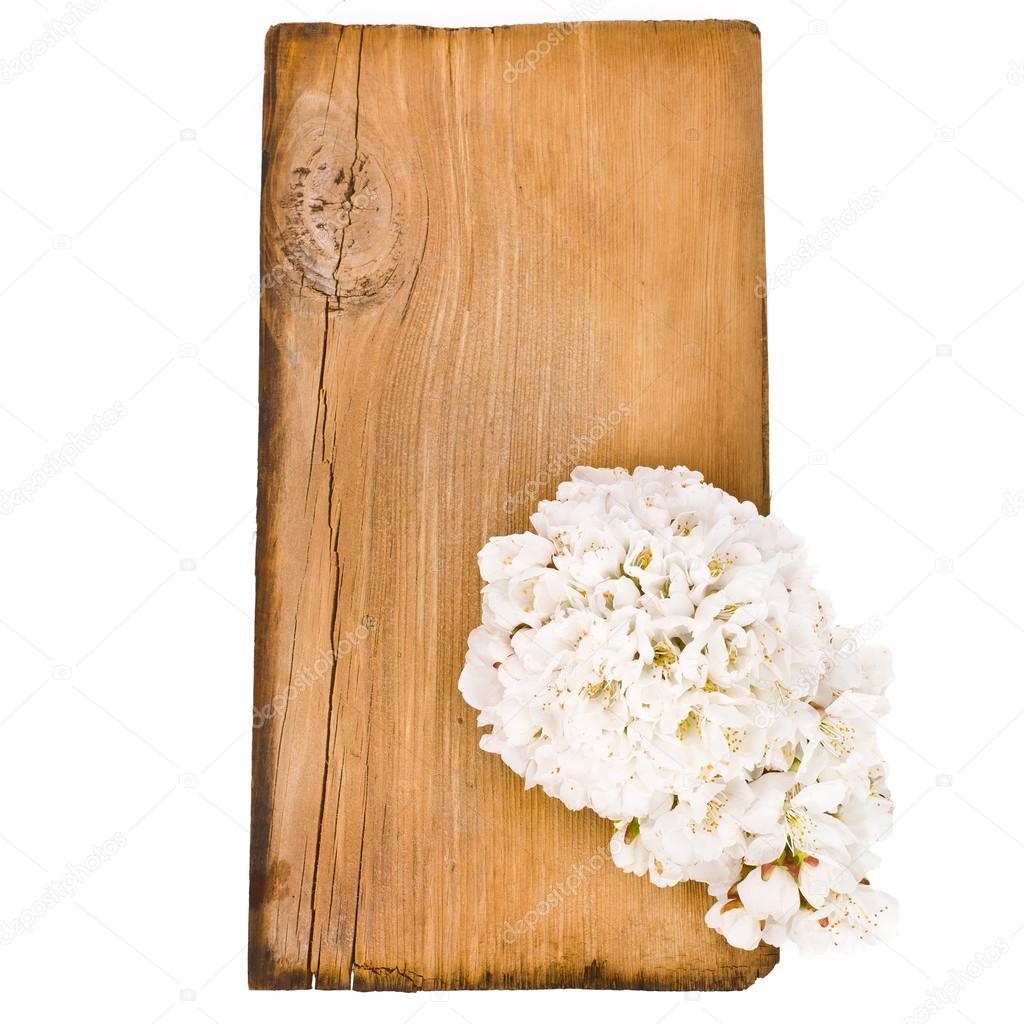 Old board and a branch of apple flowers
