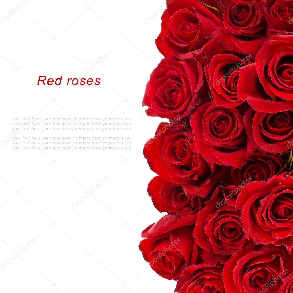 Bouquet of red roses isolated over white background