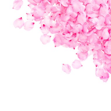 yaprakları pembe badem her iki tarafı kaplı