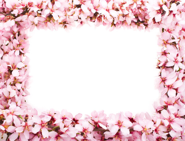 Весенние цветочные ветви