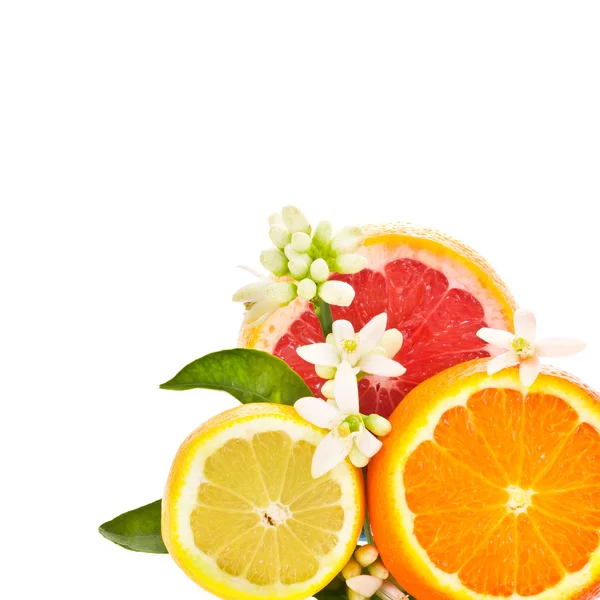 Citrusvruchten - sinaasappelen, grapefruit en citroen, afgesneden van de zijkant, versierd met bloemen en bladeren geïsoleerd op witte achtergrond — Stockfoto