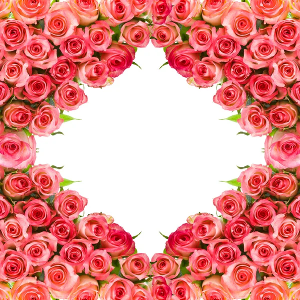 白い背景で隔離のフレーム - ピンクのバラの花束 — ストック写真
