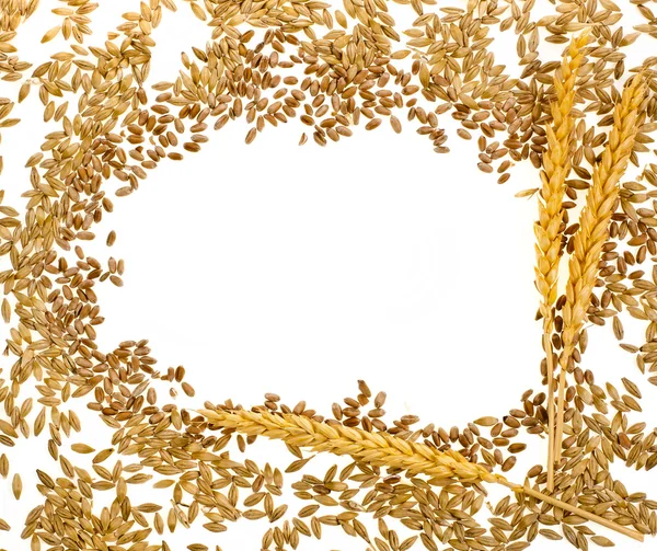 Framed grains on a white background — Stock Photo, Image