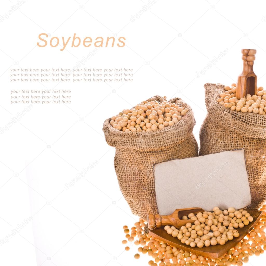 Soybeans, poured into bags of canvas, wooden spoons and a plate, sprinkled soybeans and cardboard table for labels isolated on white background