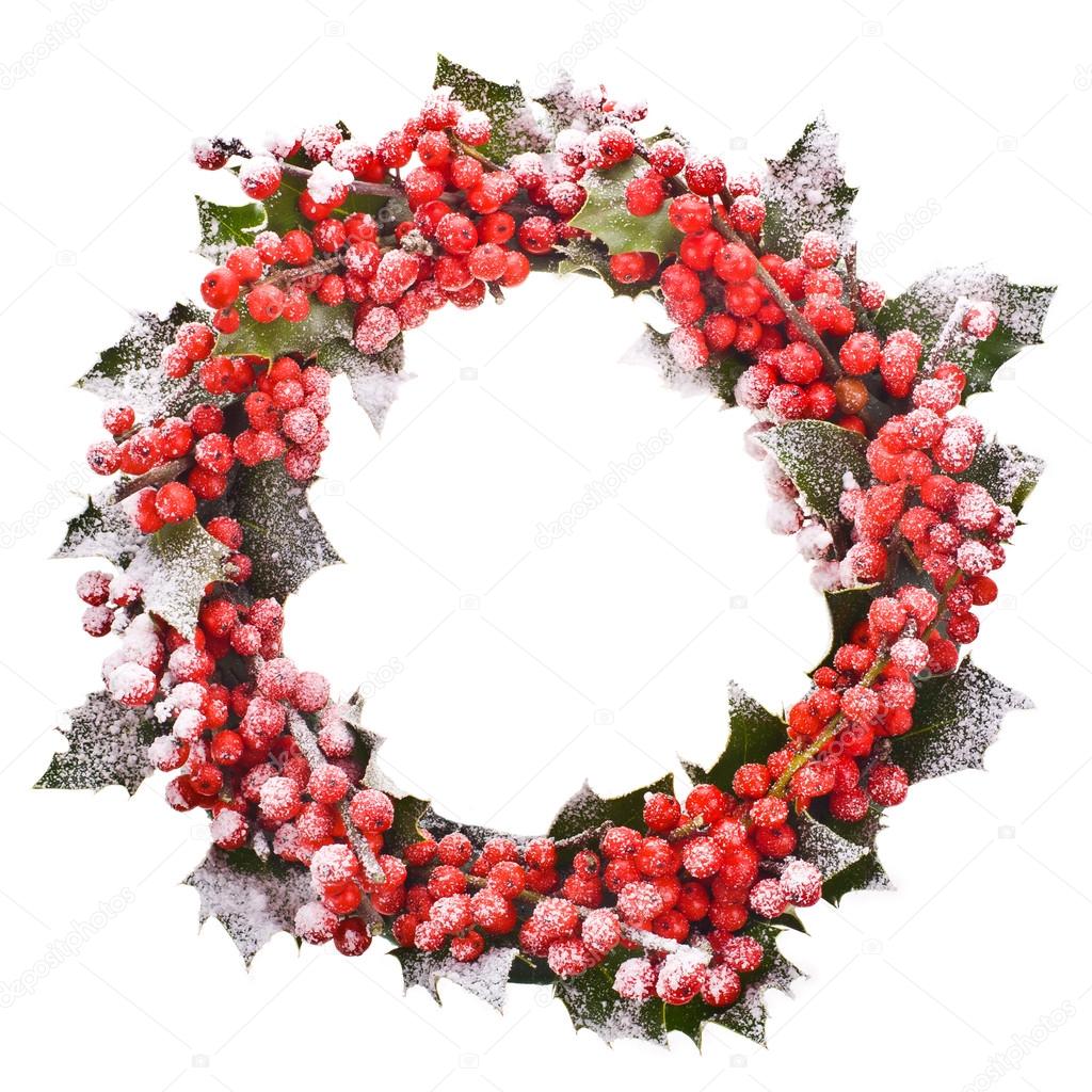 Christmas wreath of nature leaves and berries holly ilex isolated on white background.