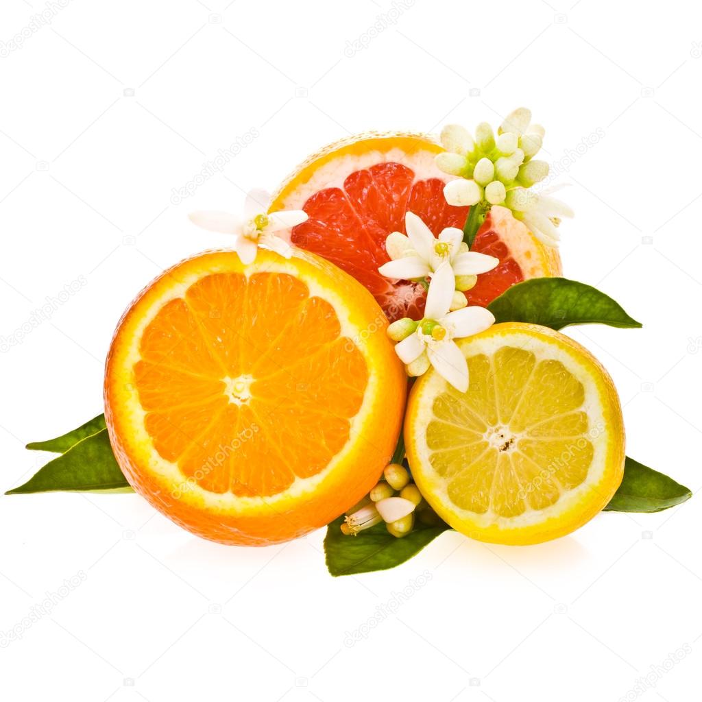 Citrus fruits - oranges, grapefruit and lemon, cut off from the side, decorated with flowers and leaves isolated on white background