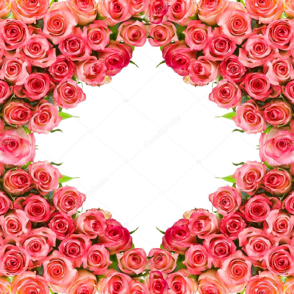 Bouquet of pink roses - frame isolated over white background