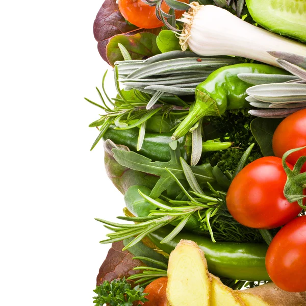 Frisches Gemüse und Kräuter isoliert auf weißem Hintergrund mit Beispieltext — Stockfoto