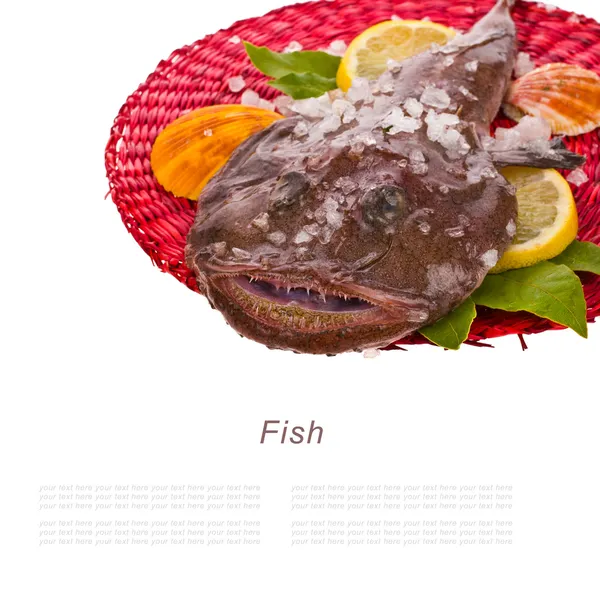 Uno fresco crudo il pescatore (lat. Lophius piscatorius) chiamato anche rana da pesca, rana-pesce o mare-diavolo sul tappeto tessuto circolare rosso isolato su sfondo bianco — Foto Stock
