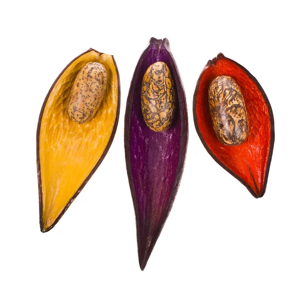 Three colored exotic peel of the fruit isolated on white background — Stock Photo, Image