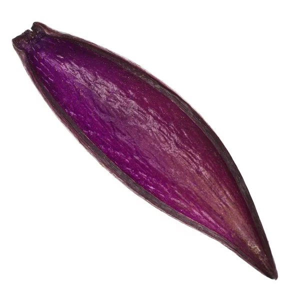 Colored exotic peel of the fruit isolated on white background — Stock Photo, Image
