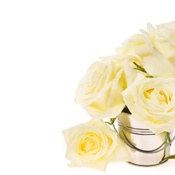 Bouquet of cream roses in an iron bucket isolated on white background — Stock Photo, Image