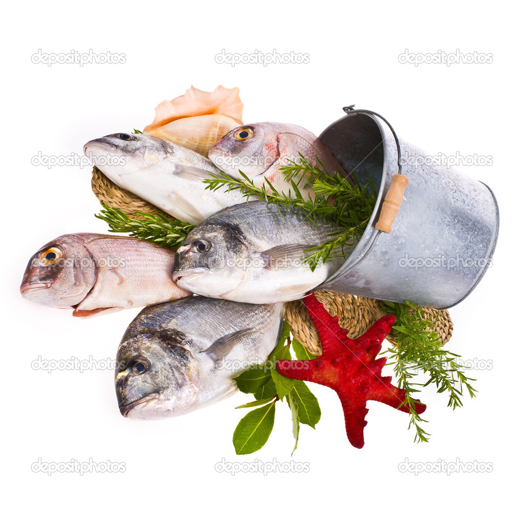Fresh Dorado fish and other fish in a tin bucket with fresh leaves and  herbs isolated on white background — Stock Photo © vanazi #30084615