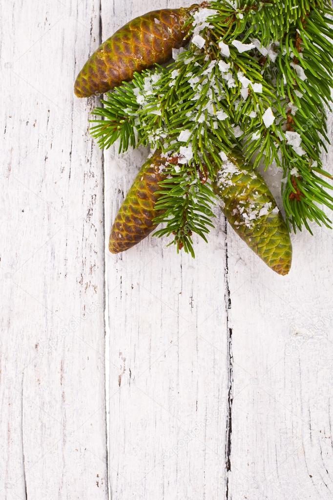 Theme New Year holidays and Christmas Green spruce branches with cones on a white background painted old wood planks as background