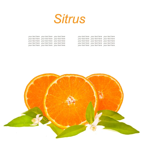 Las frutas cítricas - naranja, cortado de un lado — Foto de Stock