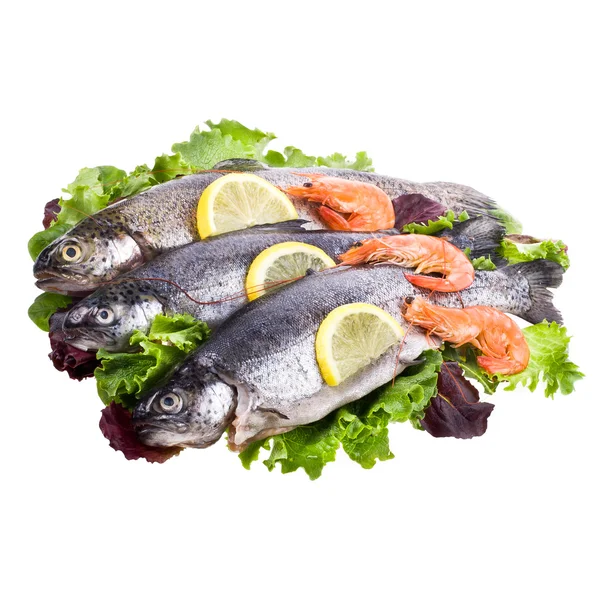 Färska öring liggande på bladen av sallad — Stockfoto