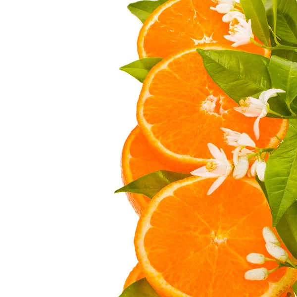 Цитрусовые фрукты - апельсин, отрезанный сбоку — стоковое фото