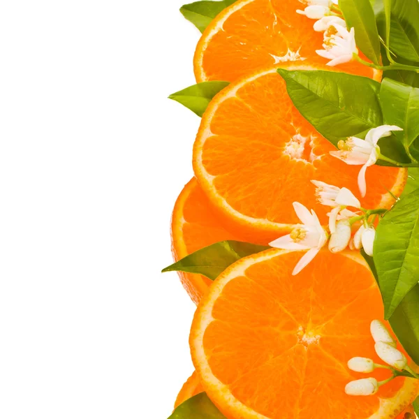 Citrus fruit - orange , cut off from the side — Stock Photo, Image