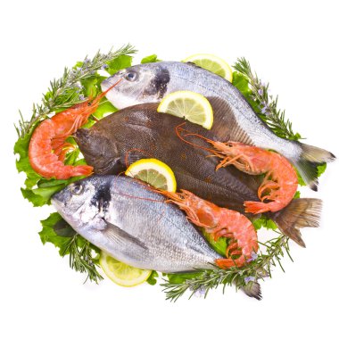 poissons de flet, dorado et crevettespisi balığı, dorado balığı ve karides