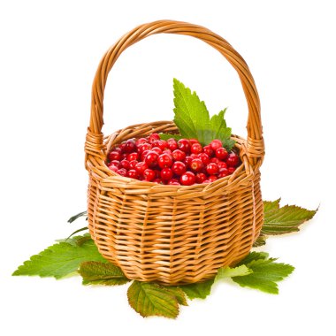 küçük hasır sepet ve yabanmersini çilek