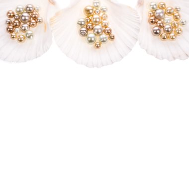 büyük inci istiridye kabuğu ve küçük inciler