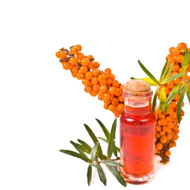 Bottles with oil and juice of sea buckthorn clipart