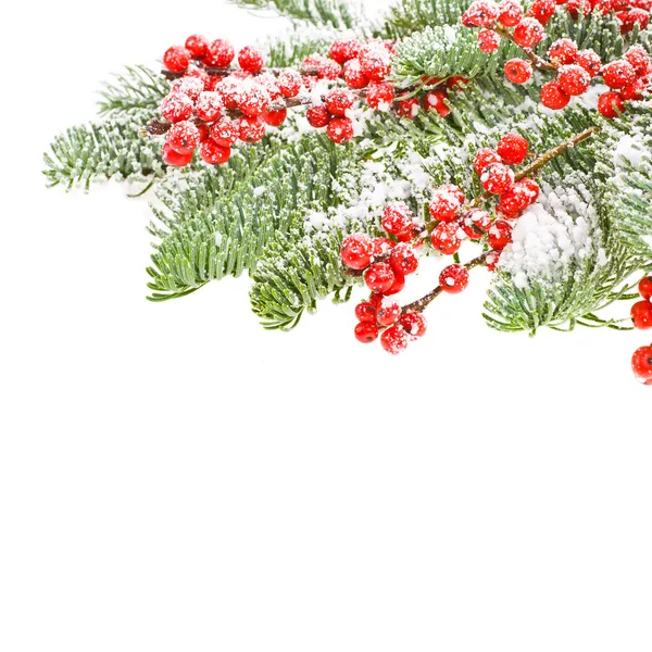 Motivi natalizi e rami d'albero — Foto Stock