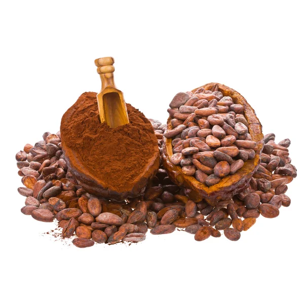 Frijoles de cacao en fruta de cacao y frijoles derramados —  Fotos de Stock