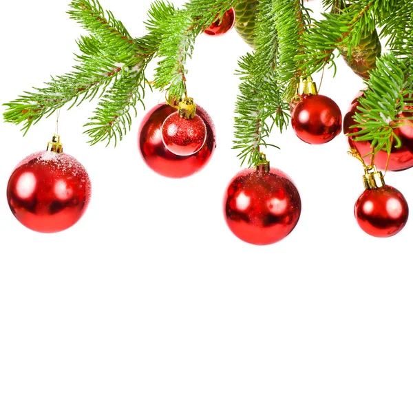 Zweig eines Weihnachtsbaums — Stockfoto