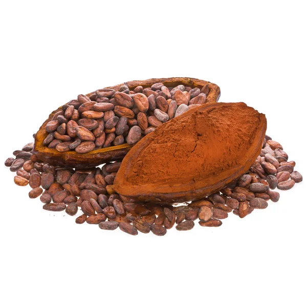 Kakao çekirdekleri içine kakao meyve ve dökülen fasulye — Stok fotoğraf