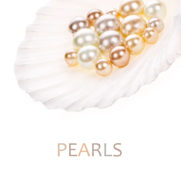 Stor pärla i ett ostronskal och små pärlor — Stockfoto