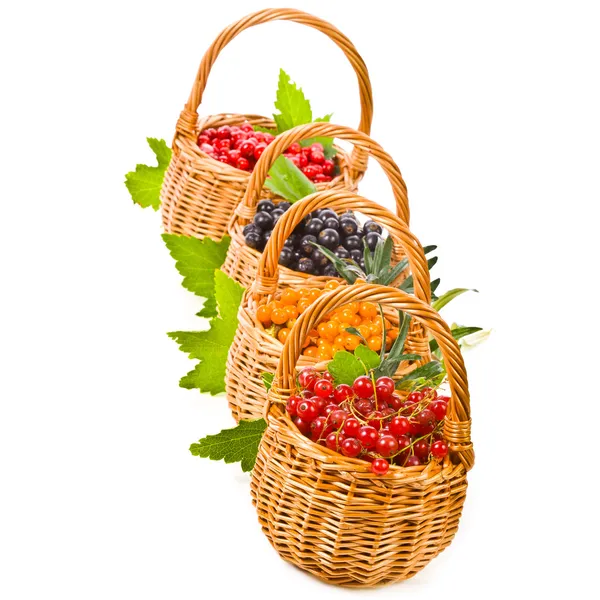 Wicker baskets with various fresh berries — Stock Photo, Image