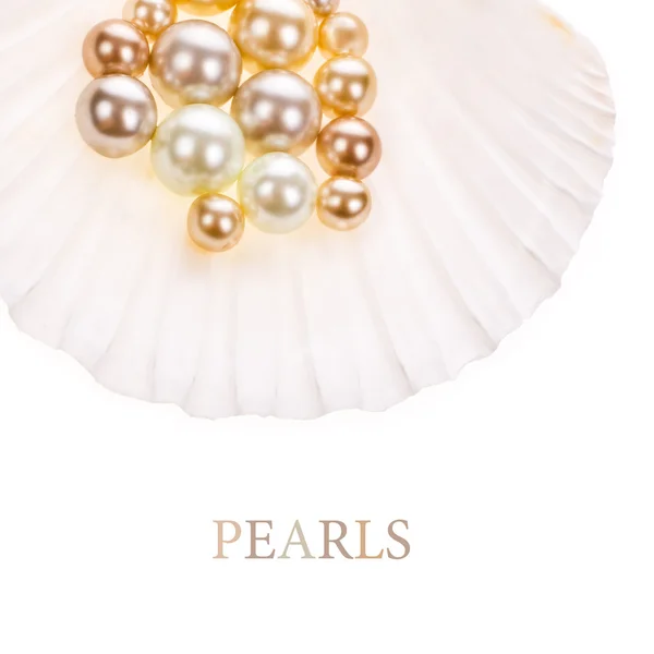 Big pearl in an oyster shell and small pearls — Stock Photo, Image