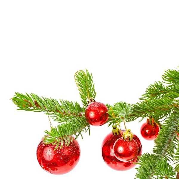 Rama de un árbol de Navidad —  Fotos de Stock