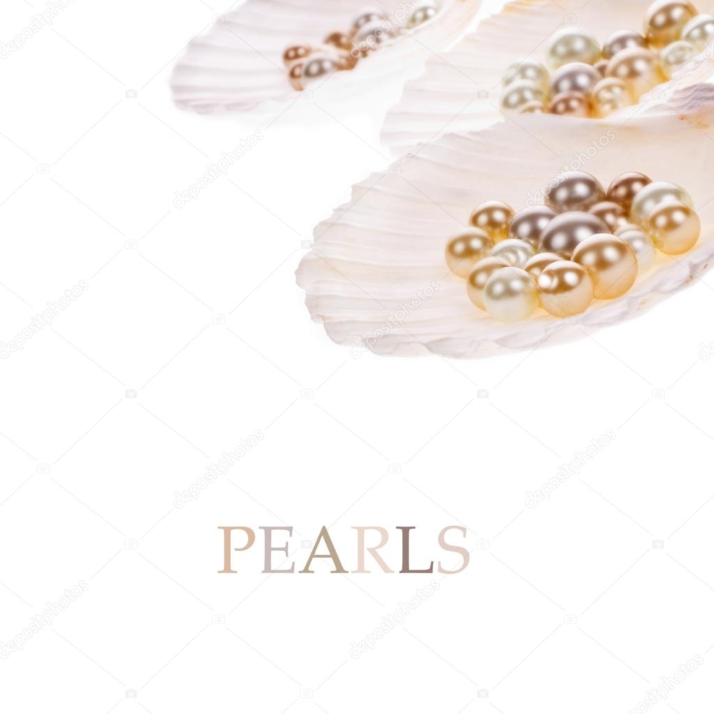 Big pearl in an oyster shell and small pearls