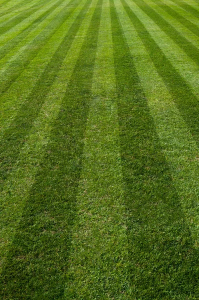 Soccer field — Stock Photo, Image