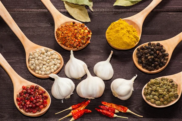 Various exotic spices — Stock Photo, Image