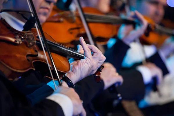 Violin players close up — Stock Photo, Image