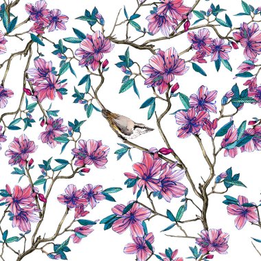 Çiçekli bir Rhododendron dalında oturan bir kuş. Suluboya çizimi