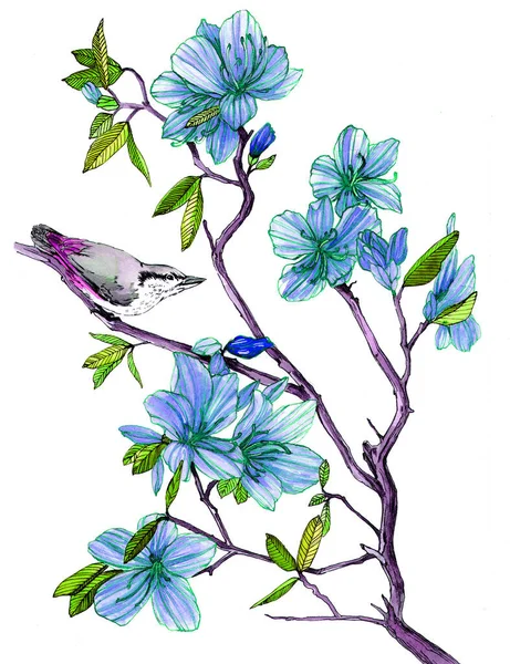 Bird Sitting Branch Flowering Rhododendron Watercolor Illustration — Stock Photo, Image