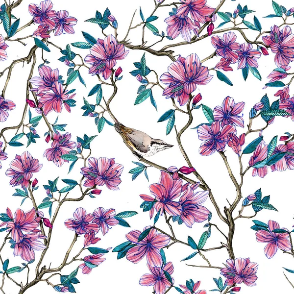 Çiçekli bir Rhododendron dalında oturan bir kuş. Suluboya çizimi