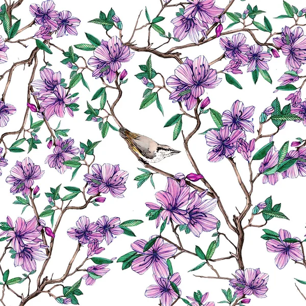 Çiçekli bir Rhododendron dalında oturan bir kuş. Suluboya çizimi
