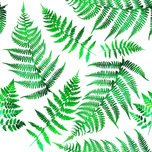 叶子的无缝图案 水彩画的无缝蕨类图案 多年生植物灌木叶和枝的装饰背景 — 图库照片