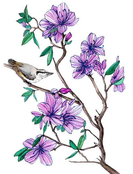 Птица Сидящая Ветке Цветущего Рододендрона Акварель — стоковое фото