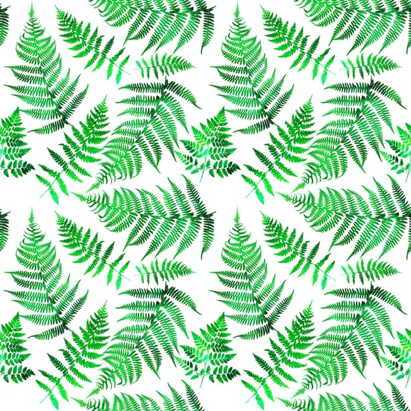 Seamless Pattern Leaves Watercolor Illustration Seamless Fern Pattern Decorative Background — Stock Photo, Image