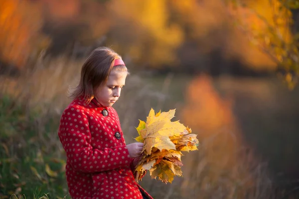 在一个五彩缤纷的秋色公园里 一个身穿红色外套 手里拿着黄枫叶的女孩 — 图库照片