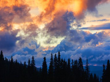Dağda dramatik mavi ve sarı günbatımı, ateşli gökyüzü ve gotik ağaçlar