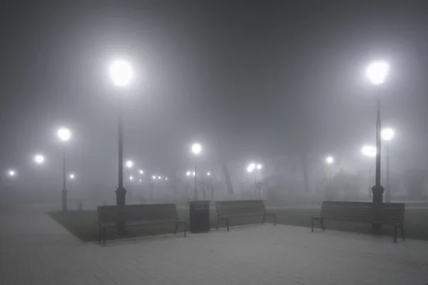 Foggy höstkväll i parken. — Stockfoto