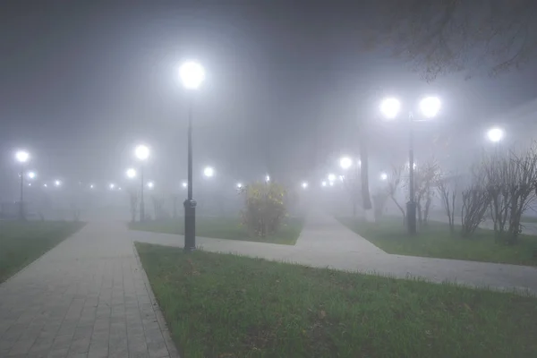 Туманная осенняя ночь в парке. — стоковое фото